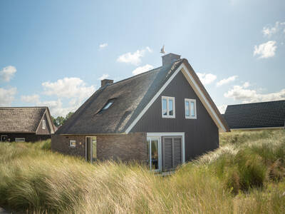 12-persoons villa - Oudduin