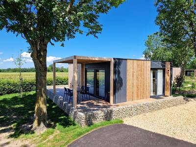 Domus 4+2