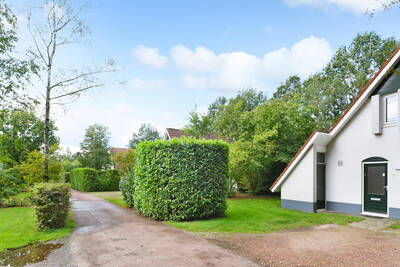 4-6-persoons bungalow