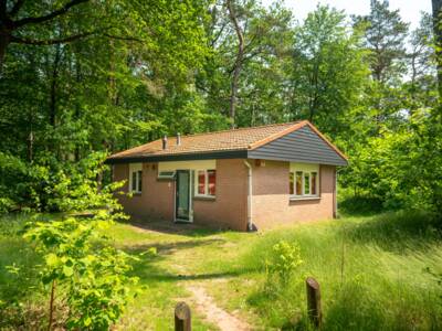4-persoons bungalow