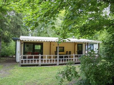 4-persoons peuterstacaravan