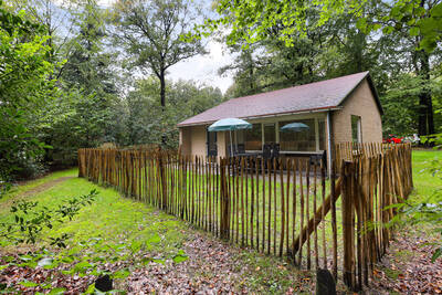 6-persoons hondenbungalow