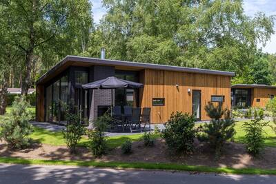 Bos Lodge 55 Eco 4 personen: Bos Lodge 55 Eco 4 personen