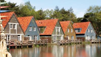 Boshuys met sauna aan het water 8-persoons