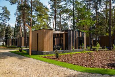 Forest Cottage 4