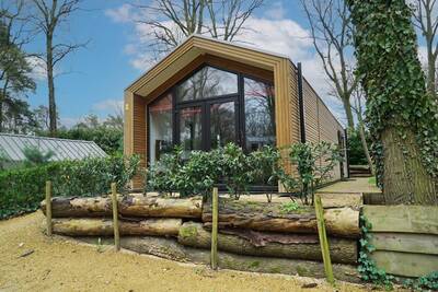 Forest Lodge 4