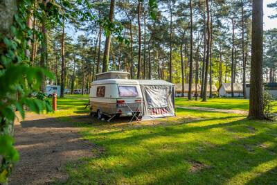 Kampeerplaats Comfort