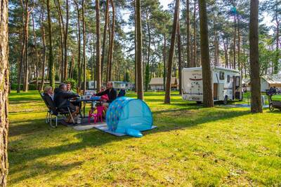 Kampeerplaats Standaard