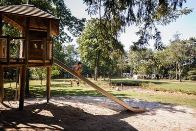 Tentkampeerplaats op de Wildenberg met boomhut