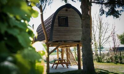 Treelodge 2