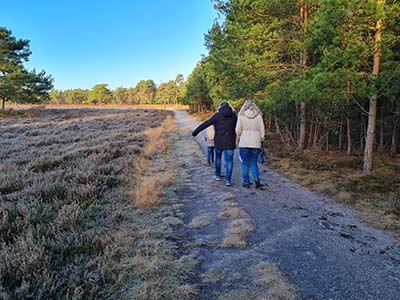 Gezin wandelt langs een heideveld in een bos op de Veluwe