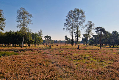 leukste uitjes veluwe.jpg