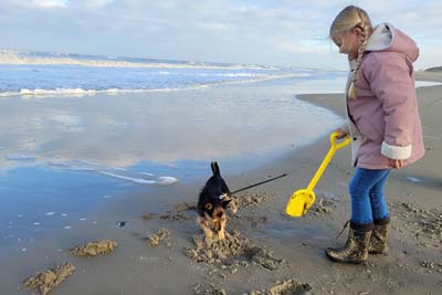 vakantie met hond in Nederland.jpg
