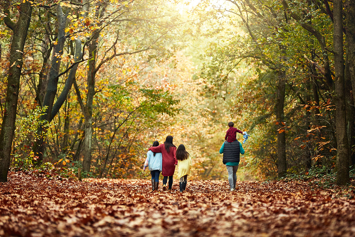 vakantieparken voor natuurliefhebbers.jpg