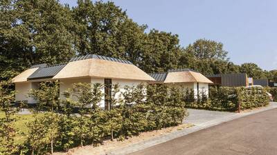 Vakantiehuizen met rieten dak op vakantiepark Dutchen Villapark Suitelodges Gooilanden