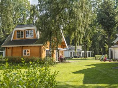 Vakantiehuizen aan een groot grasveld op vakantiepark Landal Mooi Zutendaal