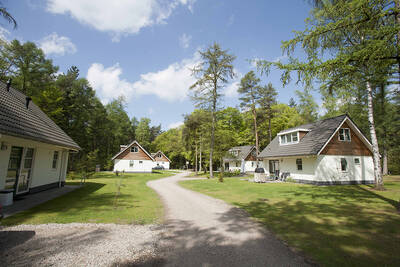 Vrijstaande vakantiehuizen op vakantiepark RCN het Grote Bos