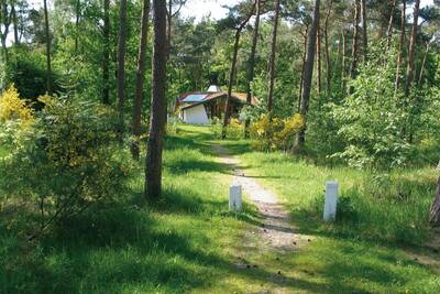 Vakantiehuis in het bos op Roompot Vakantiepark Herperduin