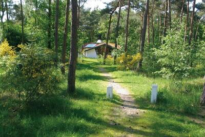 Vakantiehuis in het bos op Roompot Vakantiepark Herperduin