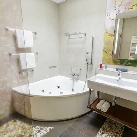 Een vakantiewoningen op Center Parcs Bispinger Heide met een luxe badkamer
