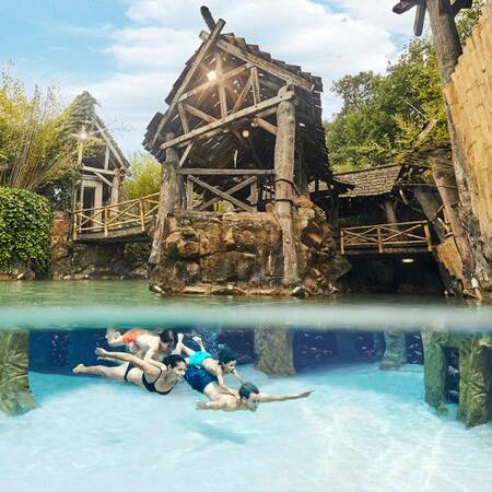 Snorkelbad, boordevol tropische vissen op Center Parcs Erperheide