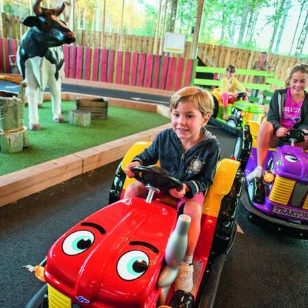 Center Parcs Le Bois aux Daims mini cars