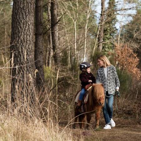 Center Parcs Le Bois aux Daims ponyrijden