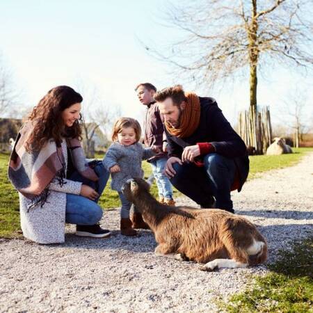 Knuffelen met een geitje op de kinderboerderij van Center Parcs Parc Sandur