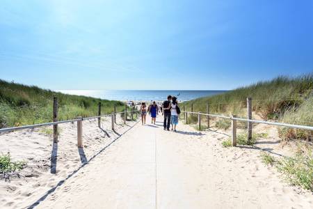 pad door de duinen