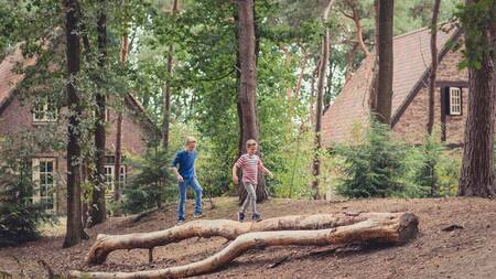 Geniet op het mooie, bosrijke vakantiepark Efteling Bosrijk