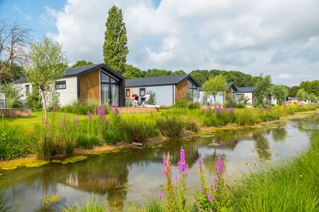 Vrijstaande chalets aan een sloot op vakantiepark EuroParcs Aan de Maas