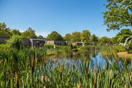 Vakantiehuizen aan het water op vakantiepark Europarcs Bad Hoophuizen