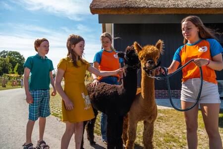 Kinderen bij het animatieteam op vakantiepark EuroParcs De IJssel Eilanden