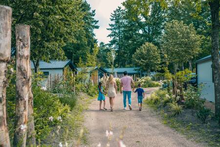 Gezin wandelt over een pad tussen chalets op vakantiepark EuroParcs De Utrechtse Heuvelrug