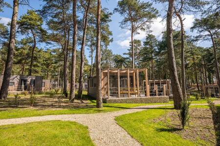 Vrijstaande chalets op vakantiepark EuroParcs Hoge Kempen