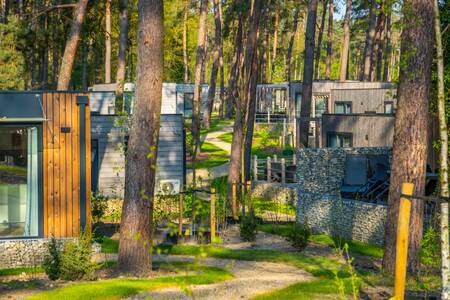 Vrijstaande vakantiehuizen in het bos op vakantiepark EuroParcs Hoge Kempen