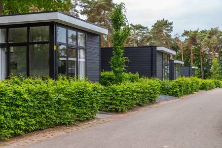 Moderne vrijstaande chalets op vakantiepark EuroParcs Maasduinen