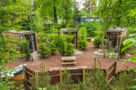 Tiny houses op vakantiepark EuroParcs Maasduinen