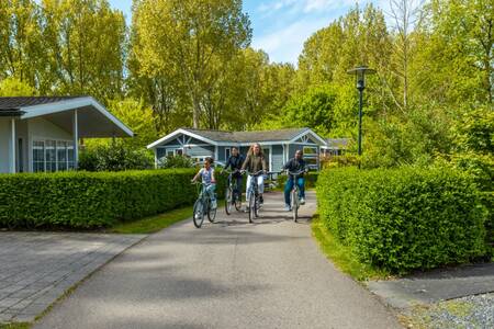 Gezin fietst over een laantje tussen vakantiehuizen op vakantiepark EuroParcs Molengroet