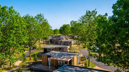 Chalets aan een laantje op vakantiepark EuroParcs Poort van Maastricht