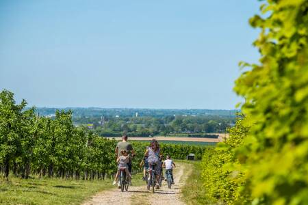 Een gezin fietst door de heuvels van Zuid-Limburg nabij vakantiepark EuroParcs Poort van Maastricht