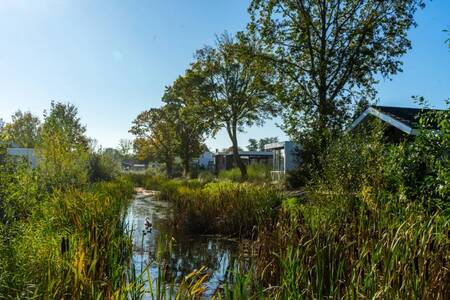 Vakantiehuizen aan een sloot tussen het groen op vakantiepark EuroParcs Poort van Zeeland