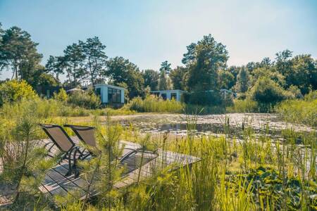 Ligstoelen op een steiger bij een vakantiehuis op vakantiepark EuroParcs Reestervallei