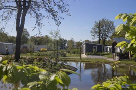 Vakantiehuizen aan het water op vakantiepark EuroParcs Reestervallei