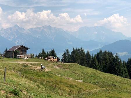 Landal Alpen Resort Maria Alm ligt in de prachtige Alpen van Oostenrijk