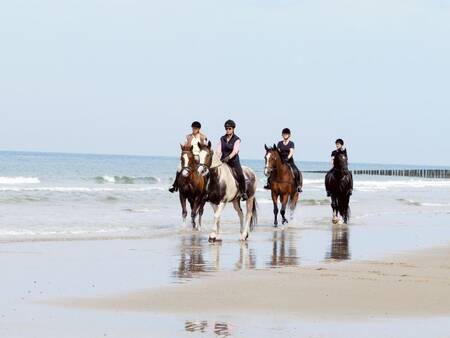 Paardrijden op het strand van Ameland - Landal Ameland State