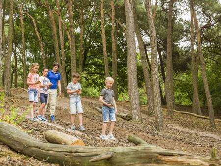 Landal De Lommerbergen ligt prachtig midden in een bos