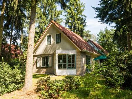 De vakantiehuizen op vakantiepark Landal De Vlegge liggen in een bosachtig landschap