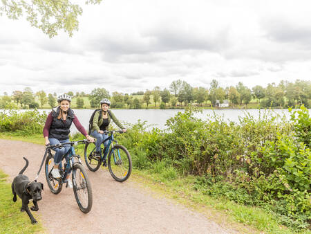 Stel met hond fietst in de omgeving van vakantiepark Landal Hochwald