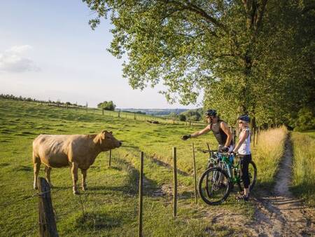 Vakantiepark Landal Hoog Vaals ligt in het glooiende heuvellandschap van zuid Limburg